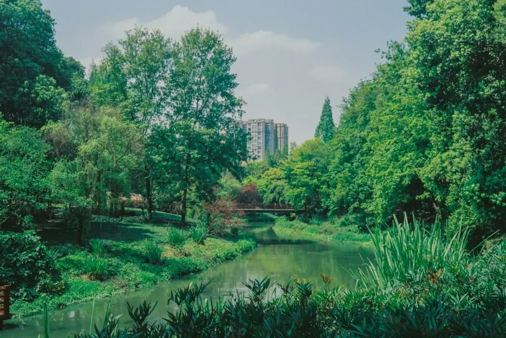 jardin du Bon Dieu environmental responsibility – Earth as a sacred garden
