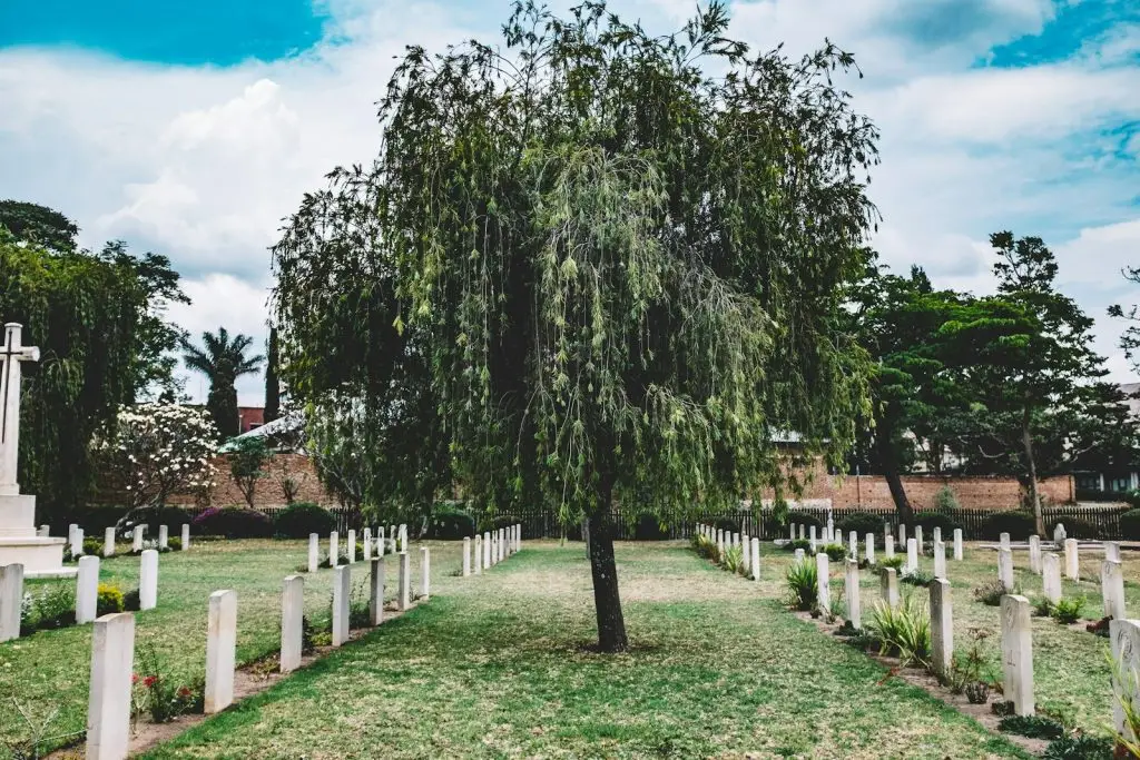 Edgar Lungu burial ruling – Zambia state funeral dispute
